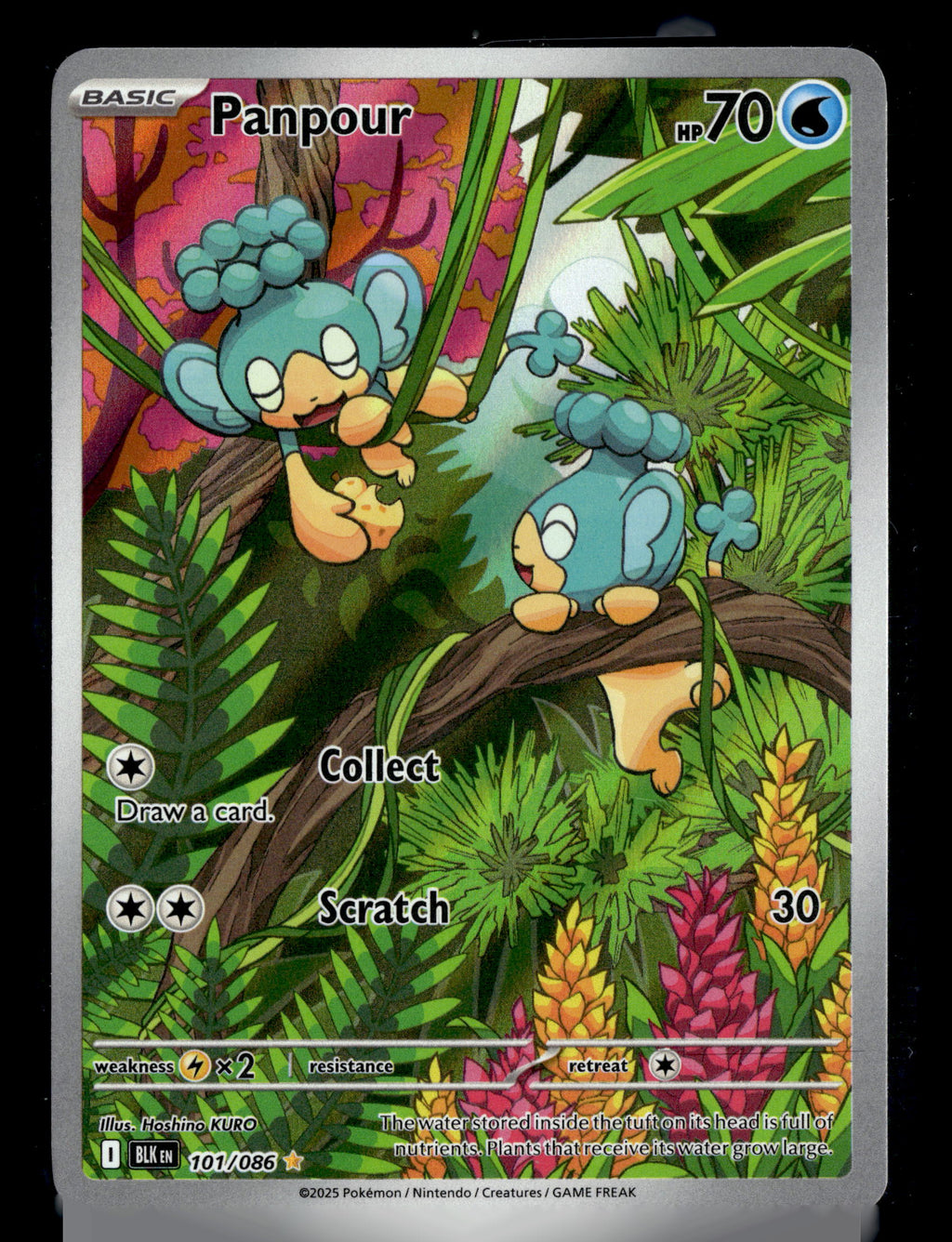 Pokemon tcg SV: Black Bolt #101/086 Panpour