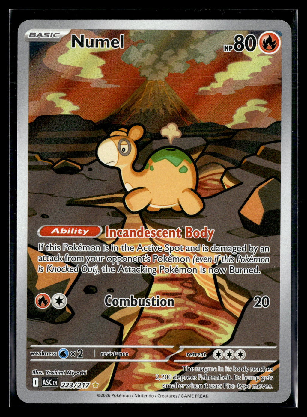 Pokemon tcg ME: Ascended Heroes #223/217 Numel
