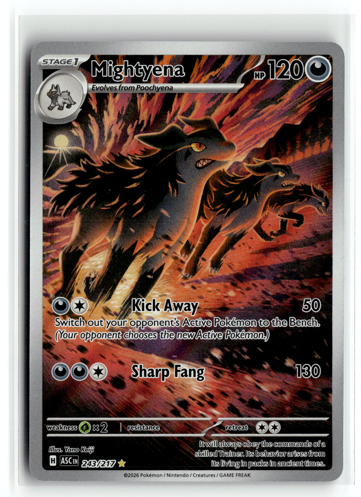 Pokemon tcg ME: Ascended Heroes #243/217 Mightyena