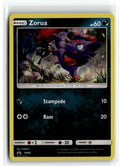 Pokemon tcg SM Promos #SM83 Zorua