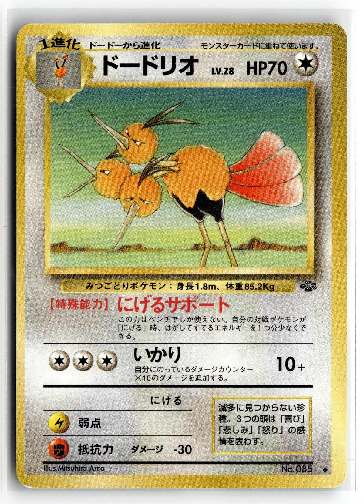 Pokemon tcg Pokemon Jungle #34/64 Dodrio