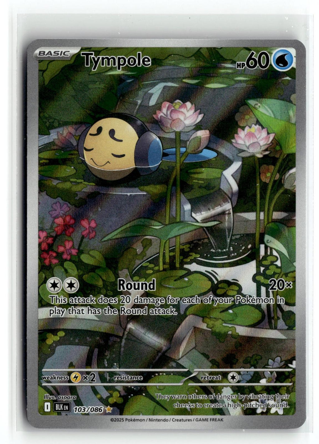 Pokemon tcg SV: Black Bolt #103/086 Tympole